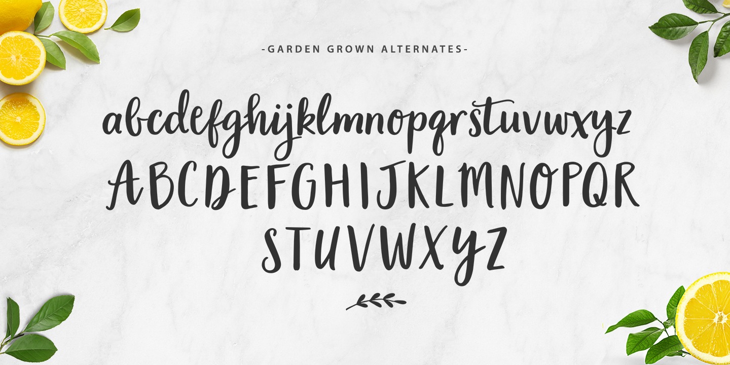 Beispiel einer Garden Collection D-Schriftart